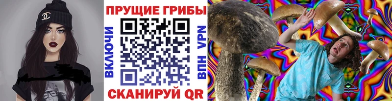 площадка клад купить наркотики сайты Северодвинск Галлюциногенные грибы мицелий